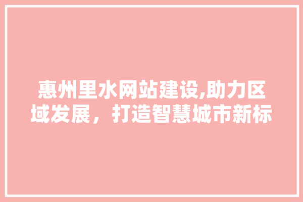 惠州里水网站建设,助力区域发展，打造智慧城市新标杆