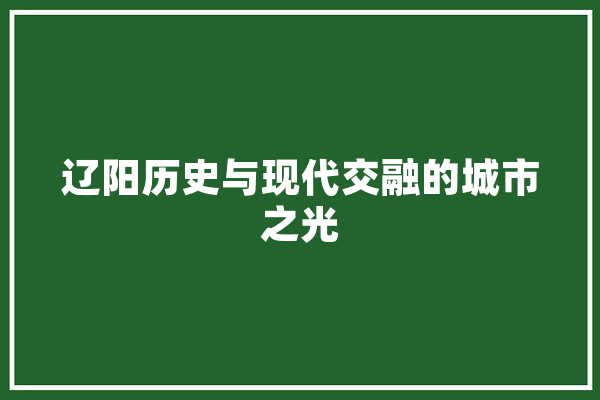 辽阳历史与现代交融的城市之光