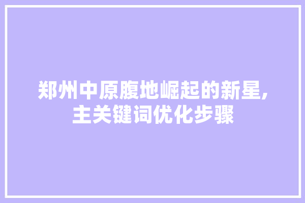 郑州中原腹地崛起的新星,主关键词优化步骤