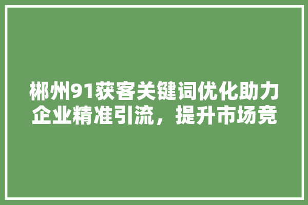 郴州91获客关键词优化助力企业精准引流，提升市场竞争力