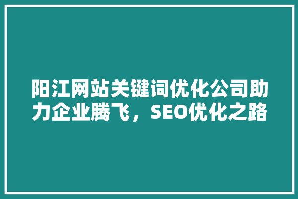 阳江网站关键词优化公司助力企业腾飞，SEO优化之路
