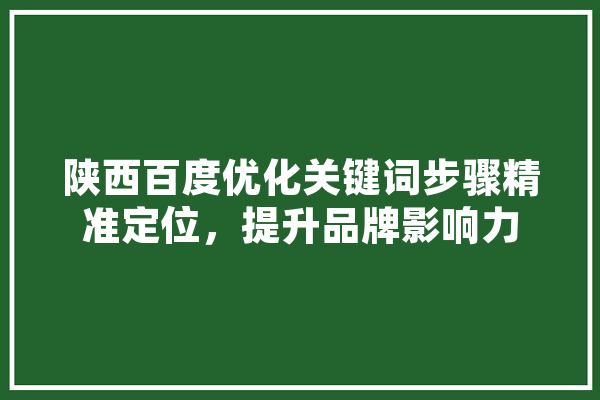 陕西百度优化关键词步骤精准定位，提升品牌影响力