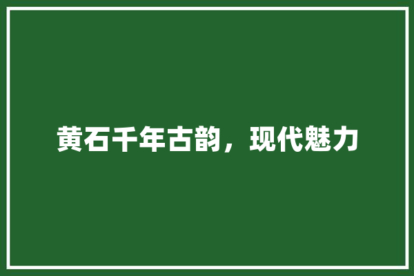 黄石千年古韵，现代魅力