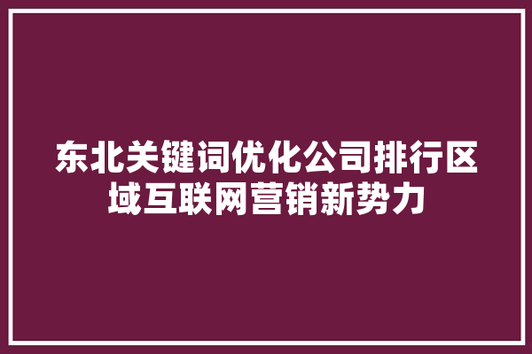 东北关键词优化公司排行区域互联网营销新势力