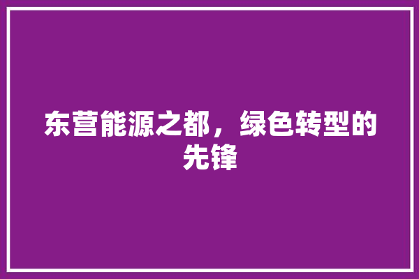 东营能源之都，绿色转型的先锋