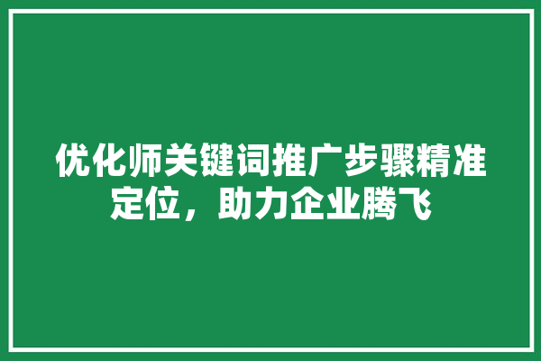 优化师关键词推广步骤精准定位，助力企业腾飞