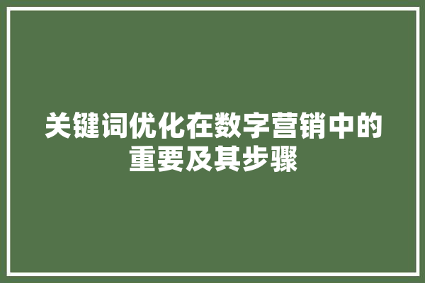 关键词优化在数字营销中的重要及其步骤 AI快讯
