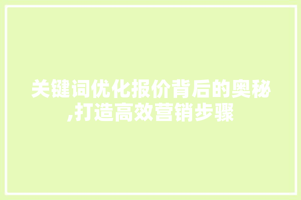 关键词优化报价背后的奥秘,打造高效营销步骤 计算机