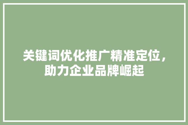 关键词优化推广精准定位，助力企业品牌崛起 文字写作