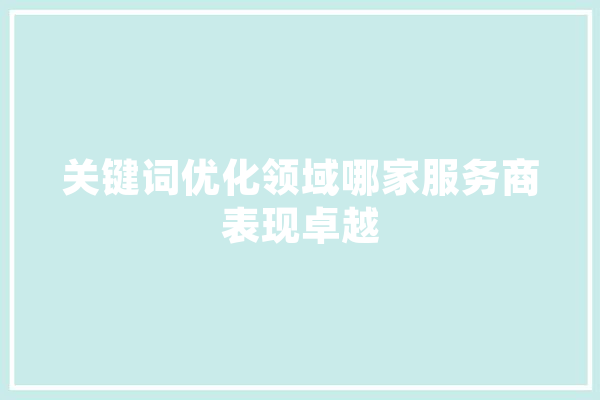 关键词优化领域哪家服务商表现卓越 智能助手