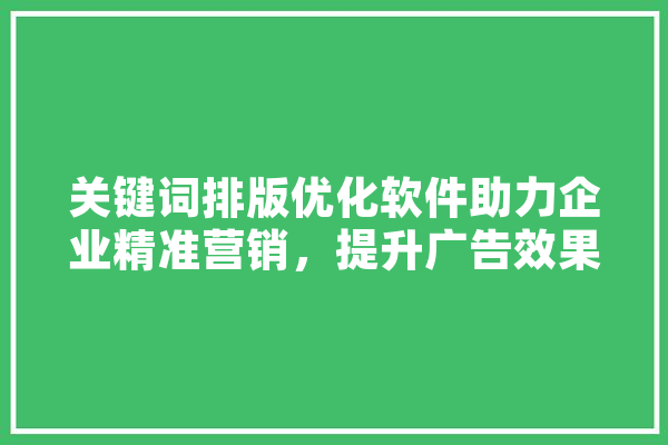 关键词排版优化软件助力企业精准营销，提升广告效果