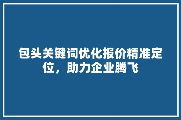 包头关键词优化报价精准定位，助力企业腾飞 计算机