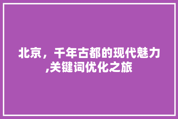 北京，千年古都的现代魅力,关键词优化之旅