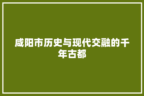 咸阳市历史与现代交融的千年古都 计算机