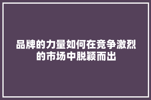 品牌的力量如何在竞争激烈的市场中脱颖而出