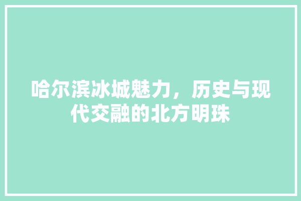 哈尔滨冰城魅力，历史与现代交融的北方明珠