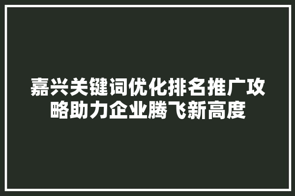 嘉兴关键词优化排名推广攻略助力企业腾飞新高度