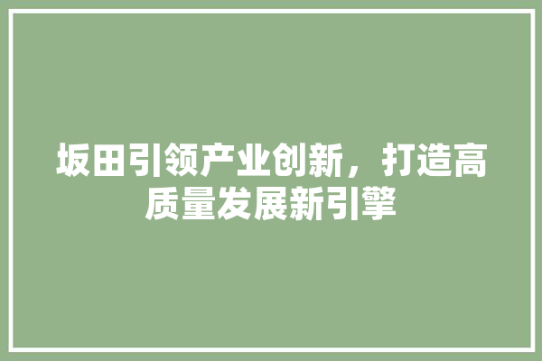 坂田引领产业创新，打造高质量发展新引擎