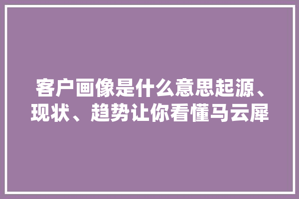 客户画像是什么意思起源、现状、趋势让你看懂马云犀牛的构造_画像_用户