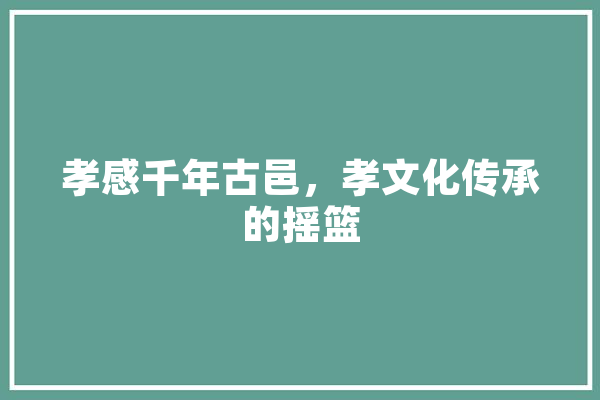 孝感千年古邑，孝文化传承的摇篮 云服务