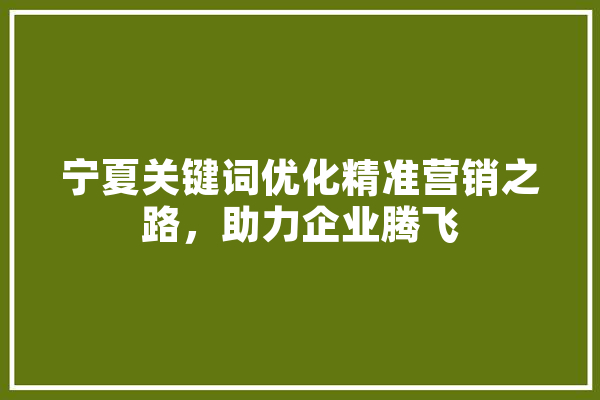 宁夏关键词优化精准营销之路，助力企业腾飞