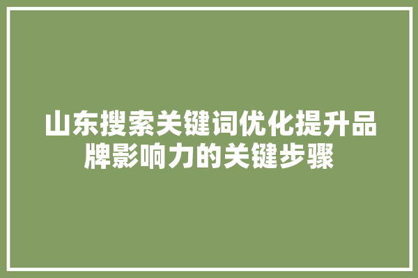 山东搜索关键词优化提升品牌影响力的关键步骤