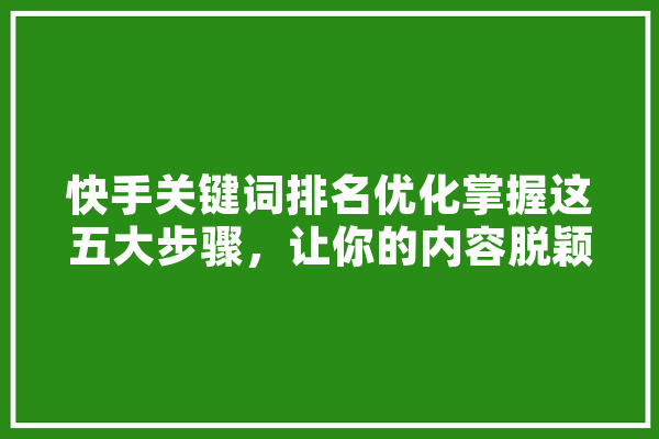 快手关键词排名优化掌握这五大步骤，让你的内容脱颖而出