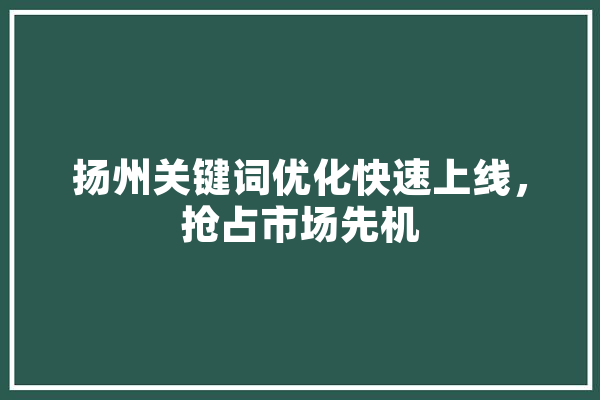 扬州关键词优化快速上线，抢占市场先机 AI简讯
