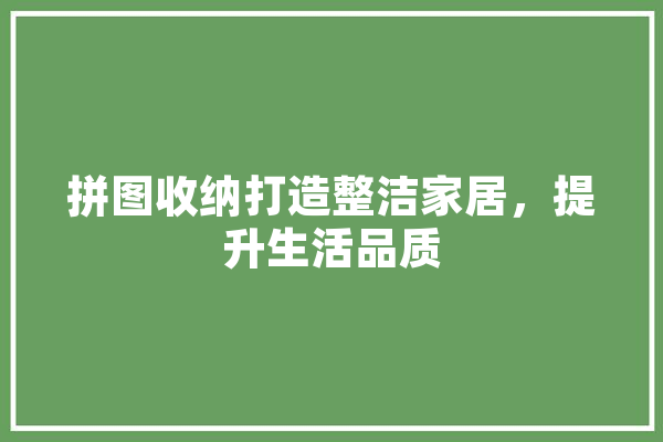 拼图收纳打造整洁家居，提升生活品质 智能助手