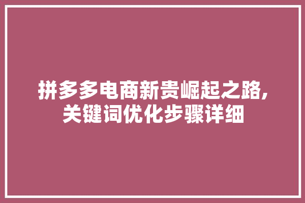 拼多多电商新贵崛起之路,关键词优化步骤详细 AI简讯