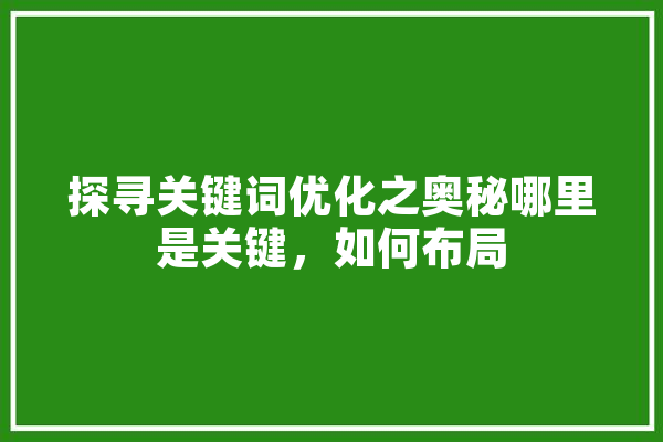 探寻关键词优化之奥秘哪里是关键，如何布局 云服务