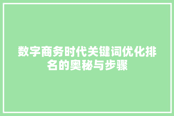 数字商务时代关键词优化排名的奥秘与步骤