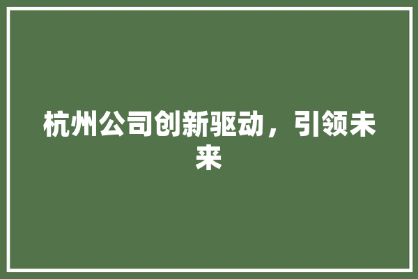 杭州公司创新驱动，引领未来