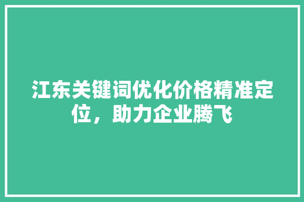 江东关键词优化价格精准定位，助力企业腾飞