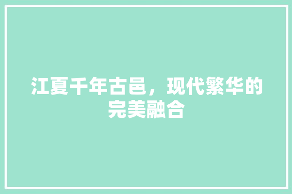 江夏千年古邑，现代繁华的完美融合