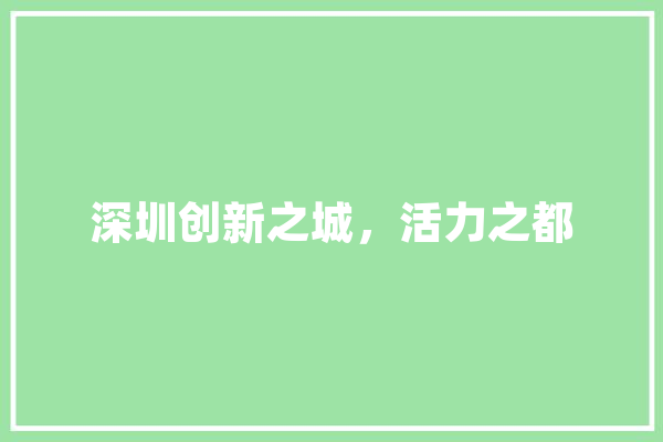 深圳创新之城，活力之都