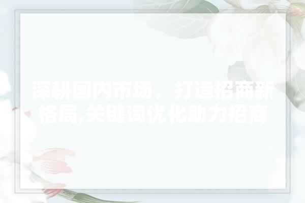 深耕国内市场，打造招商新格局,关键词优化助力招商项目 计算机