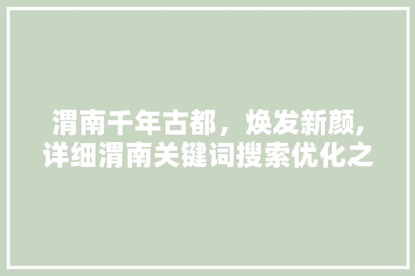 渭南千年古都，焕发新颜,详细渭南关键词搜索优化之路