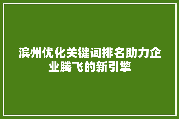 滨州优化关键词排名助力企业腾飞的新引擎