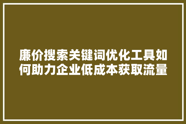廉价搜索关键词优化工具如何助力企业低成本获取流量