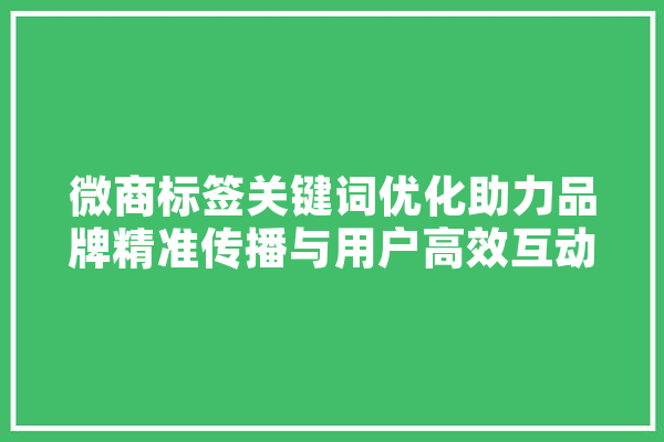 微商标签关键词优化助力品牌精准传播与用户高效互动