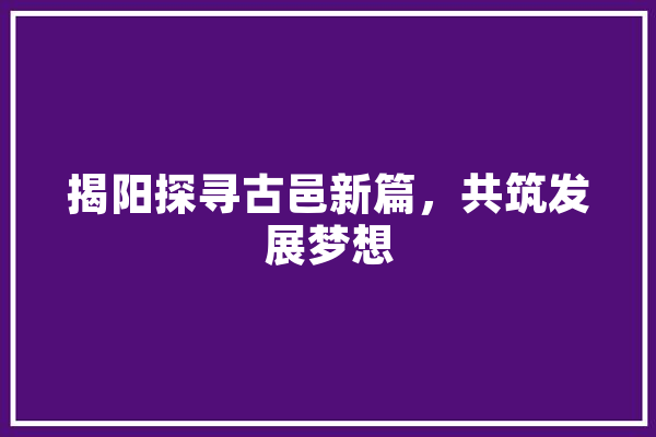 揭阳探寻古邑新篇，共筑发展梦想