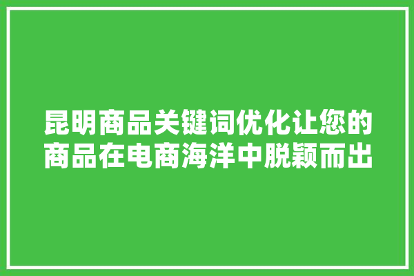 昆明商品关键词优化让您的商品在电商海洋中脱颖而出