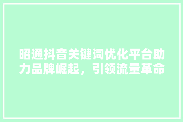 昭通抖音关键词优化平台助力品牌崛起，引领流量革命 智能助手