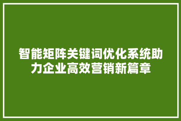 智能矩阵关键词优化系统助力企业高效营销新篇章