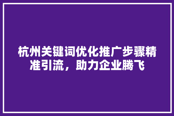 杭州关键词优化推广步骤精准引流，助力企业腾飞 云服务
