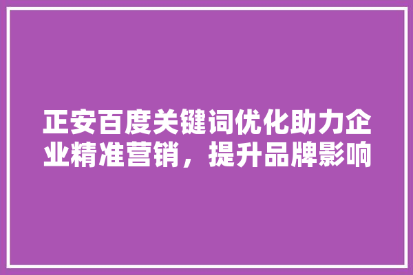 正安百度关键词优化助力企业精准营销，提升品牌影响力 绘影字幕