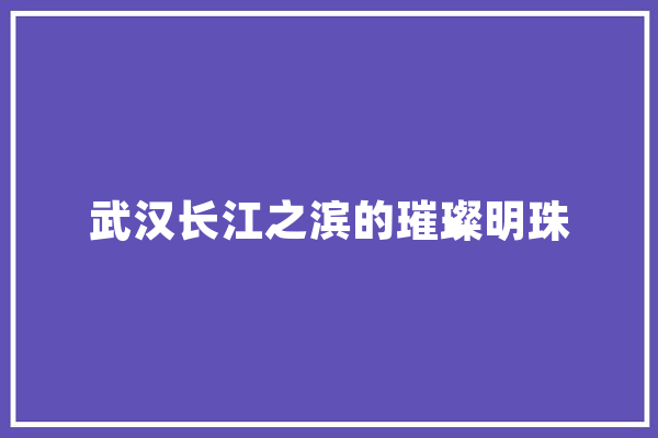武汉长江之滨的璀璨明珠 AI快讯