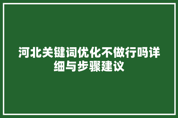 河北关键词优化不做行吗详细与步骤建议 智能助手