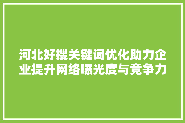 河北好搜关键词优化助力企业提升网络曝光度与竞争力 云服务